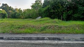 Land for sale in Dumlog, Cebu