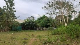 Land for sale in Dao, Bohol