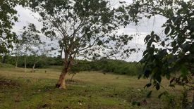 Land for sale in Dao, Bohol