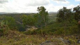 Land for sale in Guadalupe, Cebu