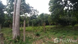 Land for sale in Chang Phueak, Chiang Mai