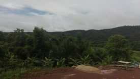 Land for sale in Mae Sap, Chiang Mai