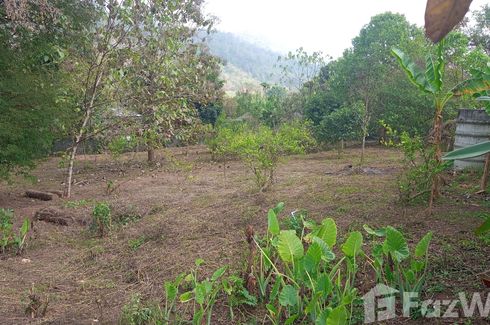 Land for sale in Samoeng Nuea, Chiang Mai
