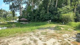 Land for sale in Maret, Surat Thani