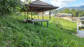 Land for sale in Maret, Surat Thani