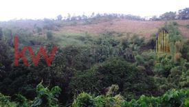 Land for sale in Sabatan, Bataan