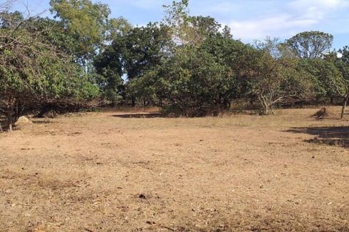 Land for sale in Macayug, Pangasinan