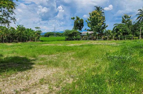 Land for sale in Mueang Kaeo, Chiang Mai