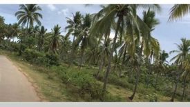 Land for sale in Gregorio Pelaez, Misamis Oriental