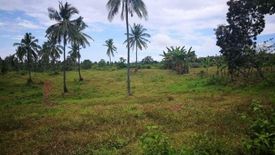 Land for sale in Gregorio Pelaez, Misamis Oriental
