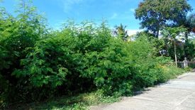 Land for sale in Minglanilla, Cebu