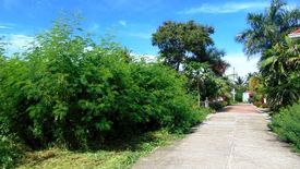 Land for sale in Minglanilla, Cebu