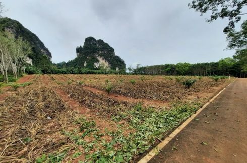 Land for sale in Sai Thai, Krabi