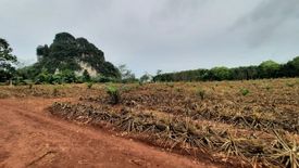 Land for sale in Sai Thai, Krabi