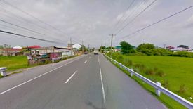 Land for sale in Santo Domingo 2nd, Tarlac