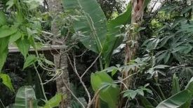 Tanah dijual dengan  di Batubulan, Bali