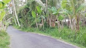Tanah dijual dengan  di Batubulan, Bali