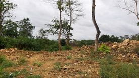 Land for sale in Dao, Bohol