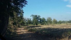 Land for sale in Taphan Hin, Phichit