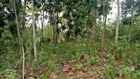 Land for sale in Licup, Davao del Norte