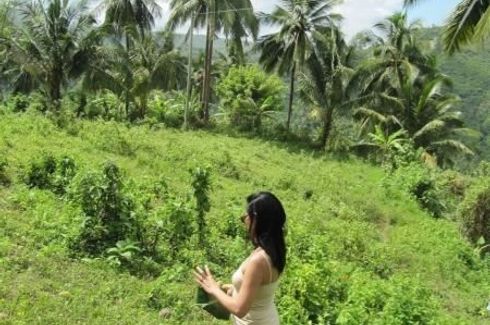 Land for sale in Bairan, Cebu
