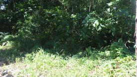 Land for sale in Banilad, Cebu