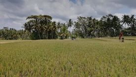 Tanah dijual dengan  di Batubulan, Bali