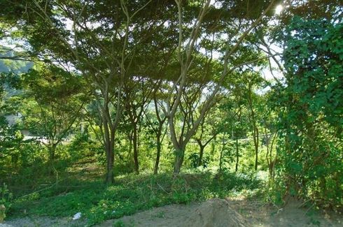 Land for sale in Pulangbato, Cebu