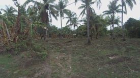 Land for sale in Bajumpandan, Negros Oriental