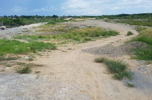 Land for sale in Buagsong, Cebu