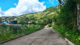 Land for sale in Guadalupe, Cebu