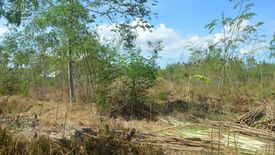 Land for sale in Jugan, Cebu