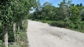 Land for sale in Bil-Isan, Bohol