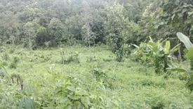 Land for sale in Samoeng Nuea, Chiang Mai