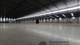 ให้เช่าโกดัง / โรงงาน ใน บางโฉลง, บางพลี