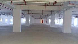 Office for rent in Cebu IT Park, Cebu