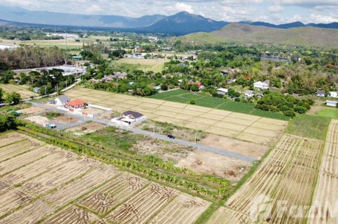 Land for sale in Chae Chang, Chiang Mai