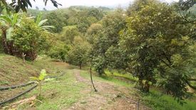 Land for sale in Bentong, Pahang