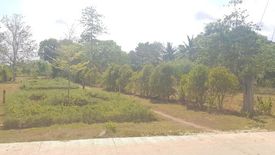 Land for sale in Libaong, Bohol