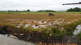 Land for sale in San Aurelio 2nd, Pangasinan