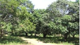 Land for sale in Unzad, Pangasinan