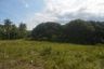 Land for sale in Simala, Cebu