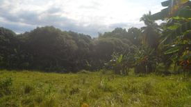 Land for sale in Simala, Cebu