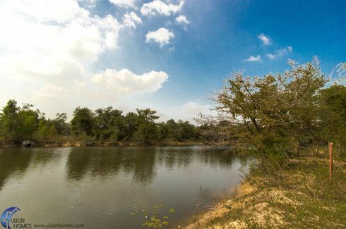 ขายที่ดิน ใน คำเจริญ, ตระการพืชผล