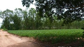 Land for sale in Nong Prue, Chonburi