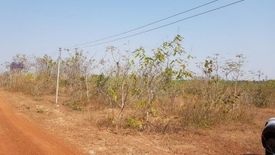 Land for sale in Sakhrai, Nong Khai