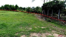 Land for sale in Huai Sai, Chiang Mai