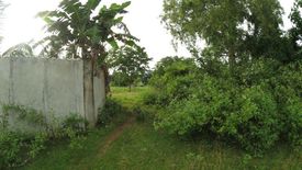 Land for sale in Tinago, Bohol