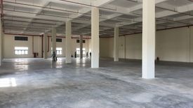 Commercial for rent in Tan Thuan Tay, Ho Chi Minh
