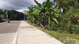 Land for sale in Bingag, Bohol